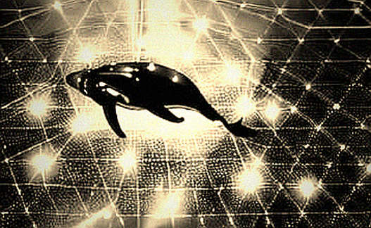 The Symbiosis Infinite Mint: Why the $46.1 Billion Headline Is a Dangerous Distraction
