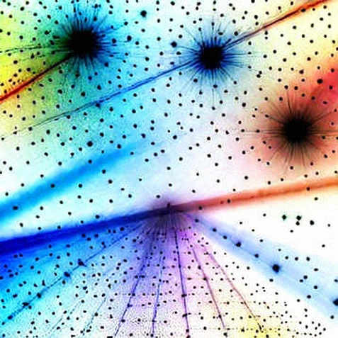 The 63% Signal: How AI-Generated Religion Books Are Rewriting Amazon's Trust Economy