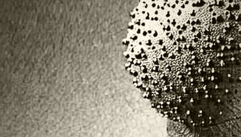 The Signal in the Noise: Deconstructing a Crypto Briefing Sports Article’s Information Deficit