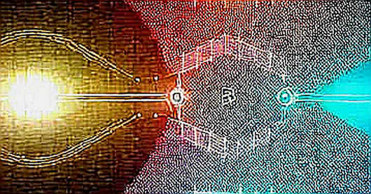 The Billionaire Short: Why Open Source Is the Silent Assassin of AI Valuations