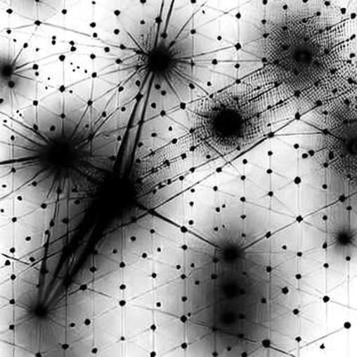 Movement Labs Chapter 11: The Speed of Trust Collapse
