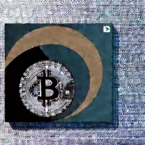 Cardano's Quiet Period: When Founders Talk Price, It's a Signal of Narrative Necrosis