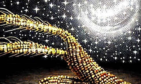 The Empty Report: When the Market's Loudest Signal Is Silence