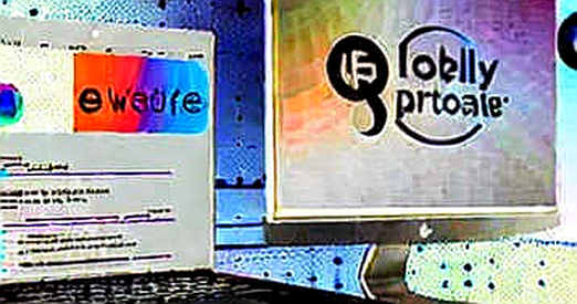 The 44% Illusion: What Bitwise Left Out of the Digital Gold Math