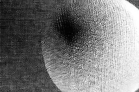 The HYPE 77.0 Signal: An Exercise in Structural Absence