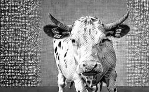XRP at a Crossroads: Why Technical Analysis Misses the Real Story