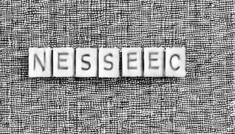 Tokenized Securities: The $24B Illusion of Growth Tokenized Securities: The $24B Illusion of Growth