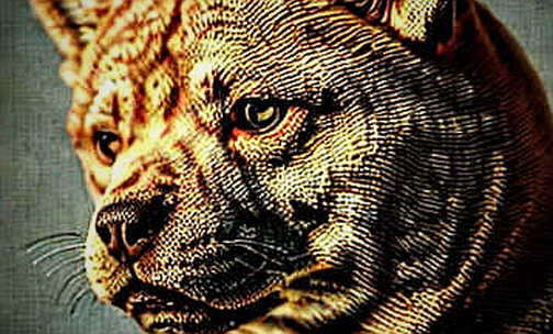 Nippon Life's $13 Billion: The Insurance Bid Crypto Hasn't Priced