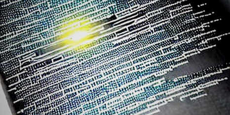 The Signal in the Null Field: When Silence Speaks Louder Than Data