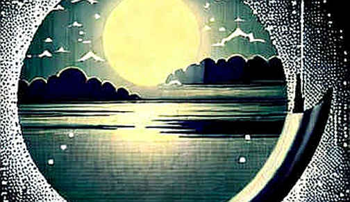 The Silence in the Signal: Reading the FLUX 3 Video Launch Through Its Omissions