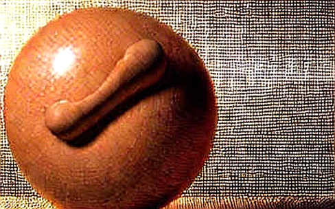 The Truth Coin That Wasn't: Dissecting the Anatomy of a Political Token Rumor The Truth Coin That Wasn't: Dissecting the Anatomy of a Political Token Rumor